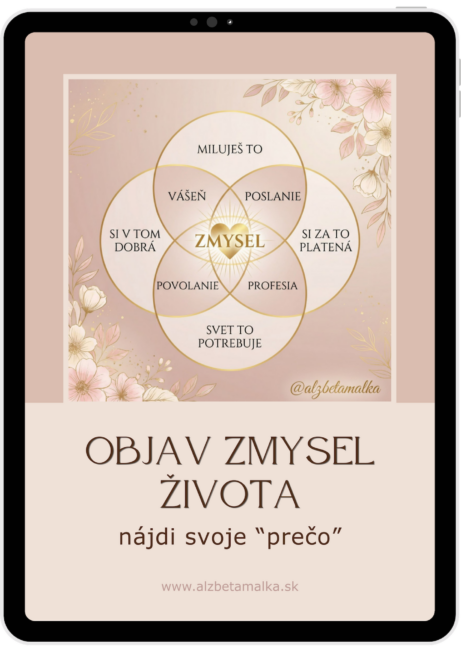 eBook - Objav zmysel života, nájdi svoje "prečo"
